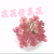 Artificial/Fake Flower Bonsai More than Ceramic Basin Succulent Desk Desk Wine Cabinet and Other Furnishings Ornaments