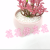 Artificial/Fake Flower Bonsai More than Ceramic Basin Succulent Desk Desk Wine Cabinet and Other Furnishings Ornaments