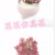 Artificial/Fake Flower Bonsai More than Ceramic Basin Succulent Desk Desk Wine Cabinet and Other Furnishings Ornaments