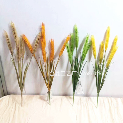 Golden Ear of Wheat Bunch Natural Dried Flowers for Home Table Wedding Decoration DIY Preserved Flower Bouquet Photo Pro