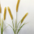 Simulation of dry rice ear bouquet pastoral 7-fork wheat rice ear shopping mall home decoration fake rice ear wheat ear