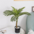 Indoor Home Floor Display Simulation Areca Palm Bonsai Nordic High Imitation Green Plant Pot Large Green Anemone