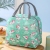 New Color Lunch Box Bag Insulated Bag Portable Lunch Bag Student Lunch Office Worker Pack Lunch Bag Thick Aluminum Foil Bag