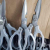 Beautiful and Sharp All Kinds of Kitchen Scissors