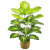 Large Nordic Simulation Plant Simulation Banana Leaf Internet Celebrity Fake Green Plant Potted Wholesale Indoor Living Room Decoration Landscaping