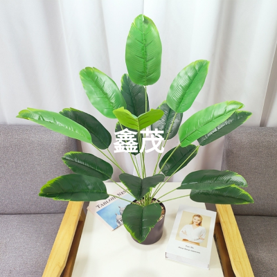 Large Nordic Simulation Plant Simulation Banana Leaf Internet Celebrity Fake Green Plant Potted Wholesale Indoor Living Room Decoration Landscaping