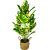 Large Nordic Simulation Plant Simulation Banana Leaf Internet Celebrity Fake Green Plant Potted Wholesale Indoor Living Room Decoration Landscaping