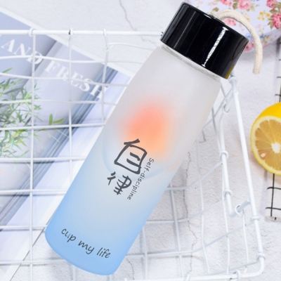 Thermal Transfer Printing Glass Cup for Men and Women Matte Simple Summer Portable Cup Fresh Mori Style Creative Tea Cup